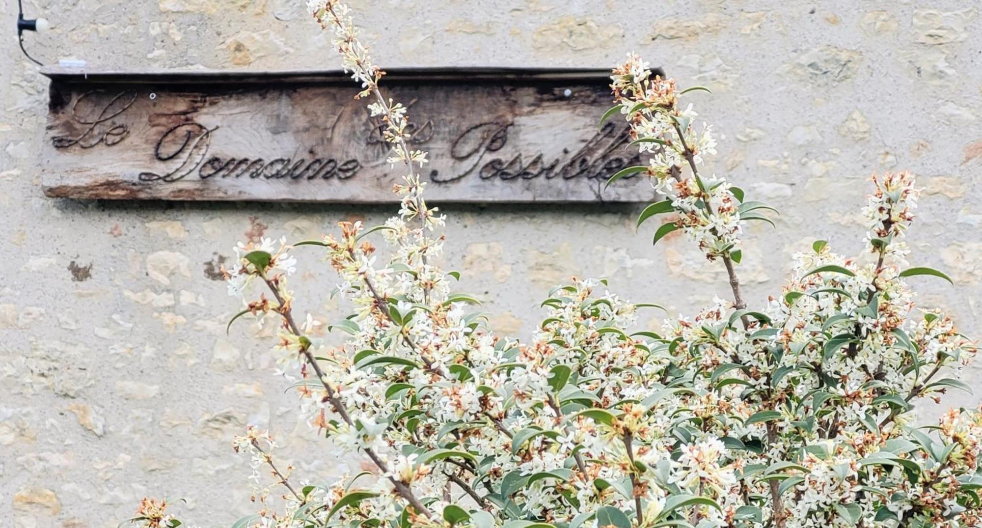 Domaine Des Possibles - Equi Home Montayral Exterior foto